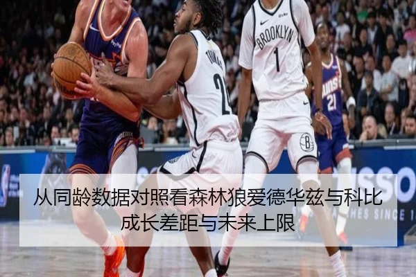从同龄数据对照看森林狼爱德华兹与科比成长差距与未来上限