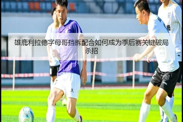 雄鹿利拉德字母哥挡拆配合如何成为季后赛关键破局杀招